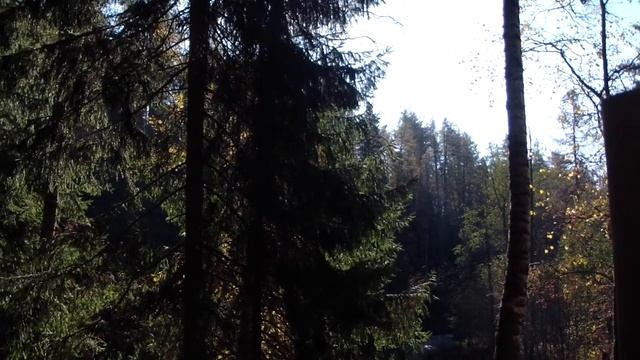Линдуловская роща.