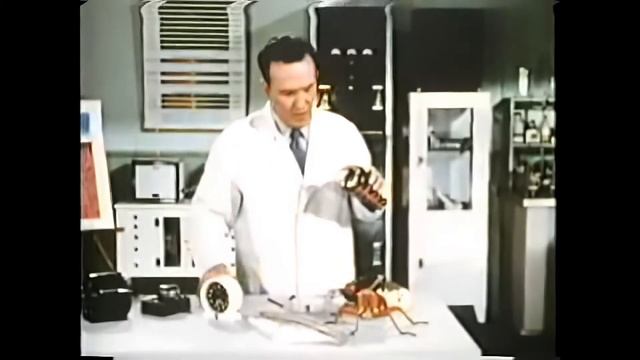 Тайна трех часов HD. Институт Муди смотреть онлайн