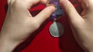 Медаль За трудовое отличие