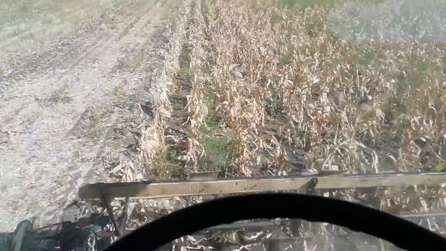 Уборка кукурузы 2018 Нива ск 5 смотреть онлайн