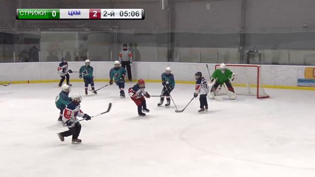 СТРИЖИ - ЛЬВЫ ЦХМ | 2009 | 24.12.20 смотреть онлайн