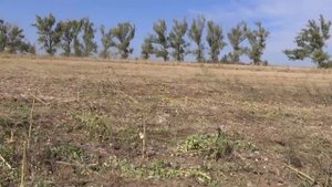 Сеялка Берегиня АП-402