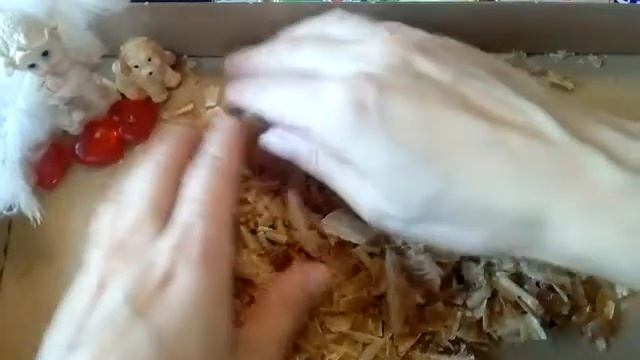 ASMR резка и распаковка мыла смотреть онлайн