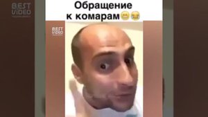 Каха обращается к комарам