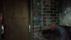 Счастливый случай на Дону.