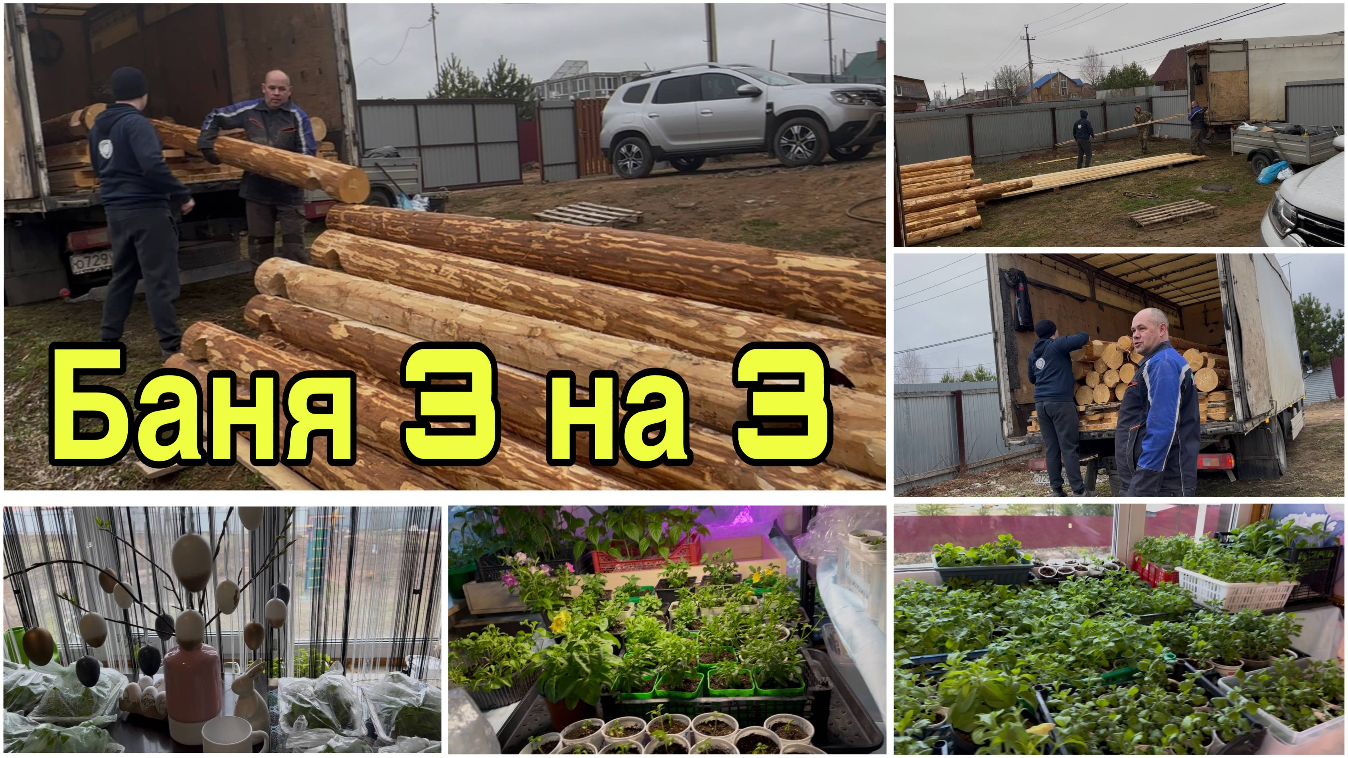 Привезли сруб БАНИ. Препараты от клеща. Обзор рассады, как растет. Наши покупки