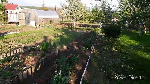 VLOG ДАЧА ☀️ПЕЧКА ДЛЯ КАЗАНА☀️ ПРИВЕТ ПОДПИСЧИКАМ смотреть онлайн