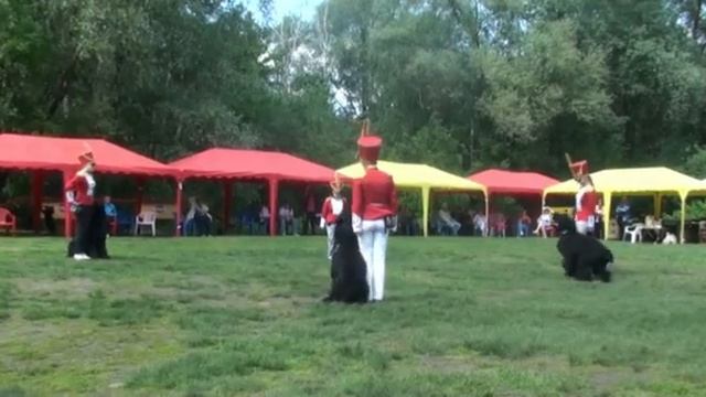 Гусары Дмитров 2012 смотреть онлайн