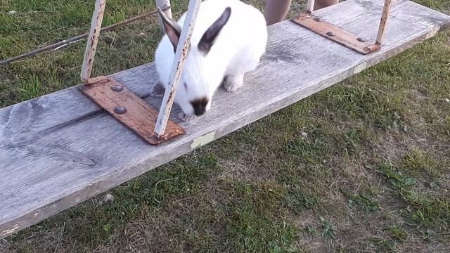 Груня и качели смотреть онлайн