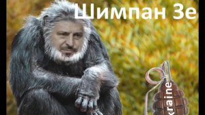 ШимпанЗе