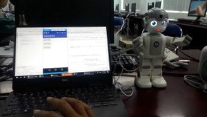 Programming Alpha mini Robot