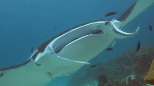 Untitled смотреть онлайн