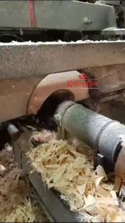 Производство оцилиндрованного бревна г, Киров.