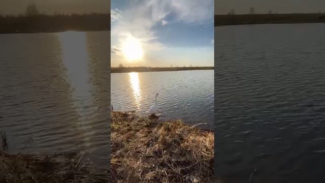 Природа оживает!!! смотреть онлайн