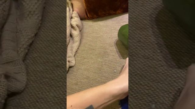 Попугай против кружки смотреть онлайн