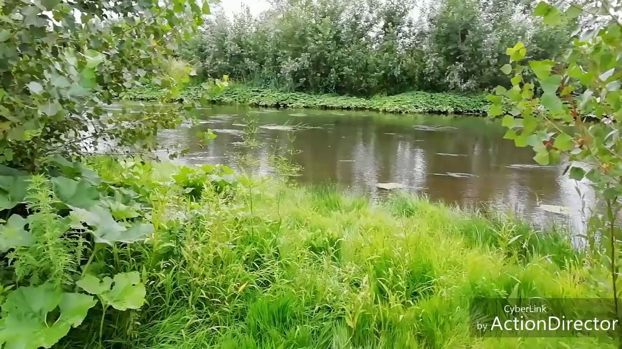 До свидания лето ((( 30.07.2019 смотреть онлайн