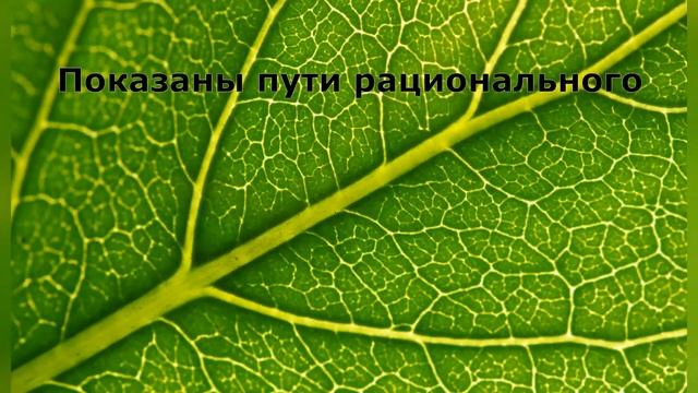 Ермек  Сагалбеков : "Инновационные научно-производственные проекты по культуре донника"