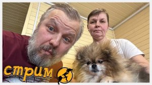 Хвостатое счастье в прямом эфире! 10/01/2025