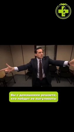 А кто в вашей семье гуляет с собакой