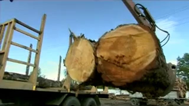 Ролик "Саянлес" смотреть онлайн