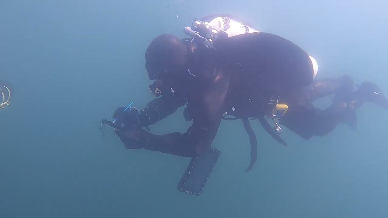 Scientific diving 9.5.2023 - Kirkkonummi, Finland