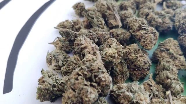 Fleurs de chanvre CBD super lemon Haze