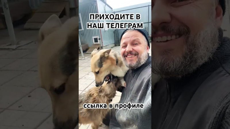 Спасибо за поддержку #приютхвостатоесчастье