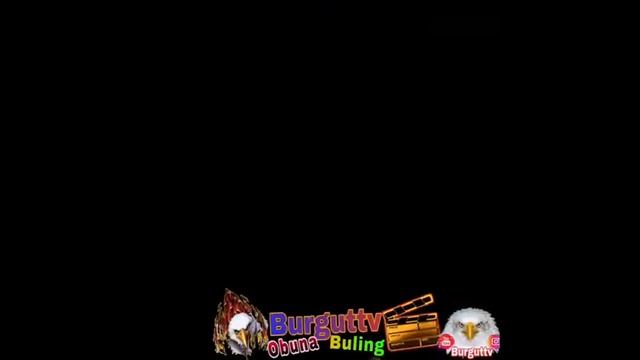 Qiziqarli videolar смотреть онлайн