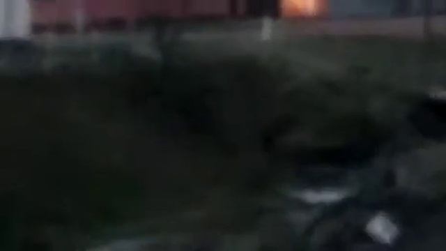 Неизвестное существо заснятое на камеру. смотреть онлайн