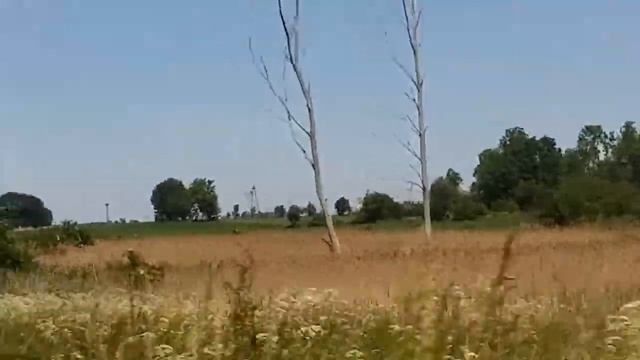 Заробитчани первийвиезд в посёлак Польши как?а унас крах! смотреть онлайн