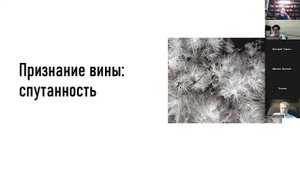 (Не)признание вины: между правом на защиту и учетом при определении уголовно-правовых последствий