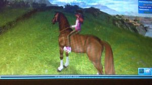 Дикая лошадь #3