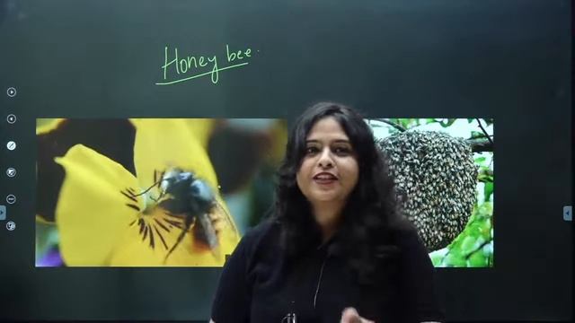 NCERT Science Series - Class 6 Chapter 1 - Food & it's components | Dr. Aakriti Raj