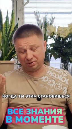 Все знания в моменте