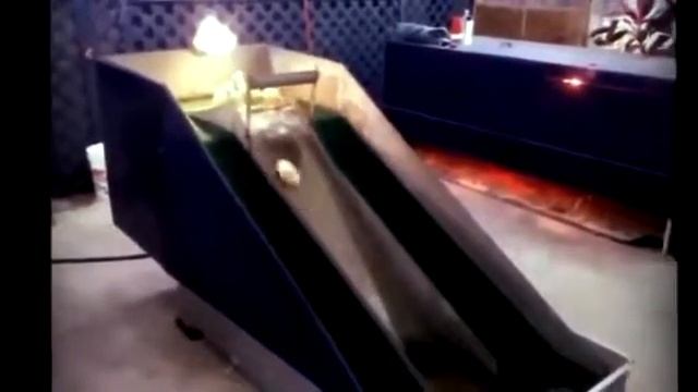 Прикол про животных смотреть онлайн