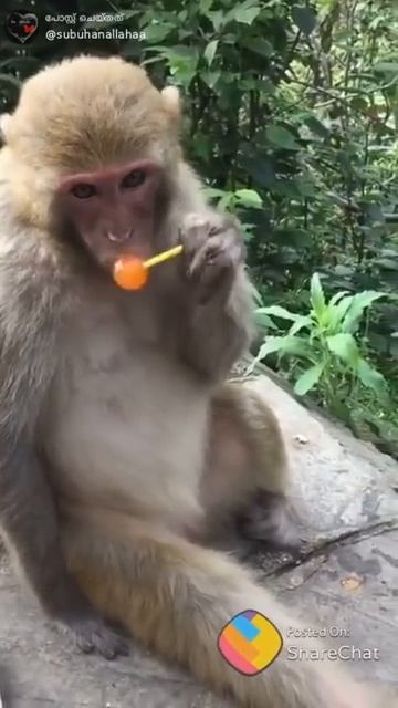 December 29 2019141M