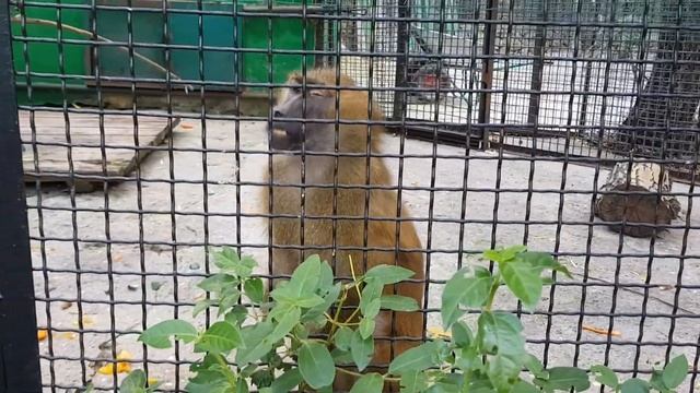 лучший реп! смотреть онлайн