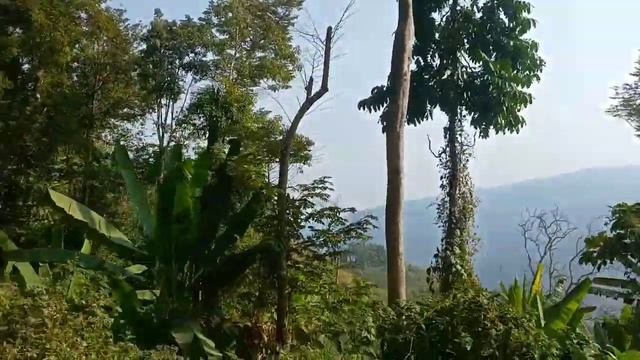 Bhubuan hills part:ll/ New update 2022/ My first vlog/ Azu bhai ki vlogs смотреть онлайн