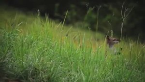 8 Невероятные жиры, __Барбара Онил