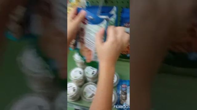 Кот Рыжик ищет игрушку для своего кота смотреть онлайн