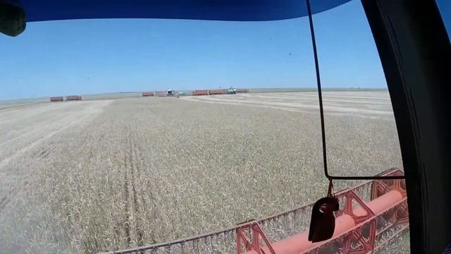 Уборка урожая 2020 смотреть онлайн