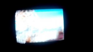 Ледибаг и супер -кот, начало