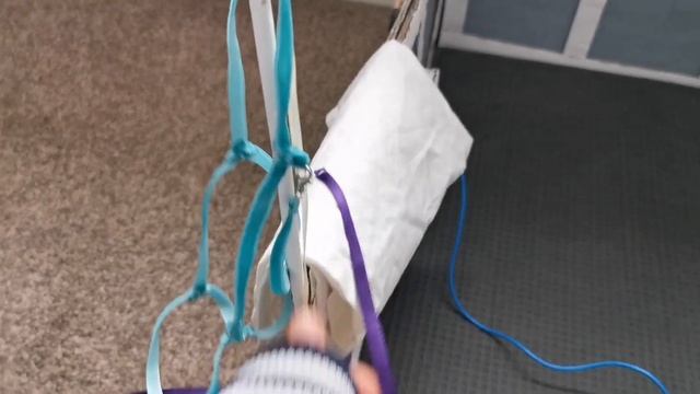 Mini LeMieux Pony Wash Bay tour! #lemieux #minipony #inspo #trending #diy смотреть онлайн