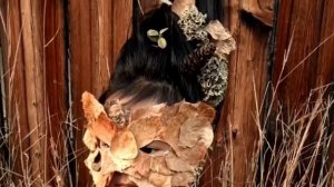 Афанасьева Вика .mp4