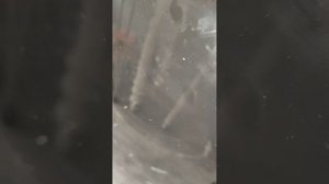 Стиральная машина LERAN 78148 отзыв, обзор