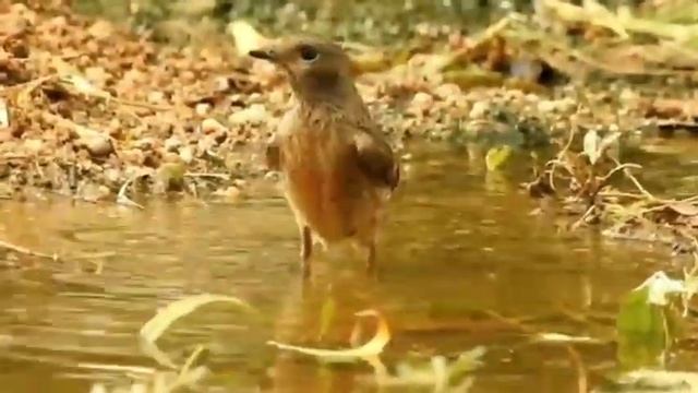 "Скоро, Вы будете с коллекторскими агентствами здороваться☺" смотреть онлайн
