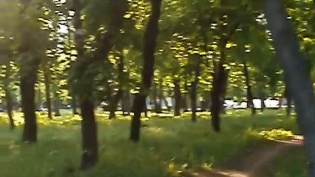 Тропинка в парке смотреть онлайн