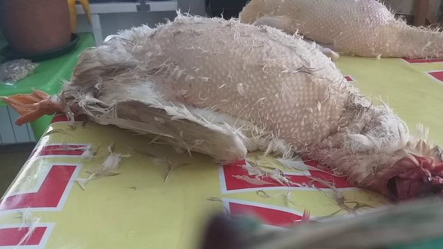 Про жизнь,Просили, слушайте. смотреть онлайн