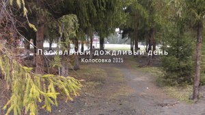 Пасхальный дождливый день .Колосовка омская область 2025 год .