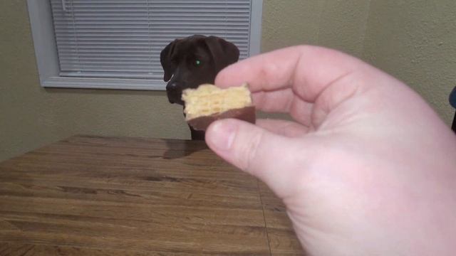 June Snackcrate смотреть онлайн